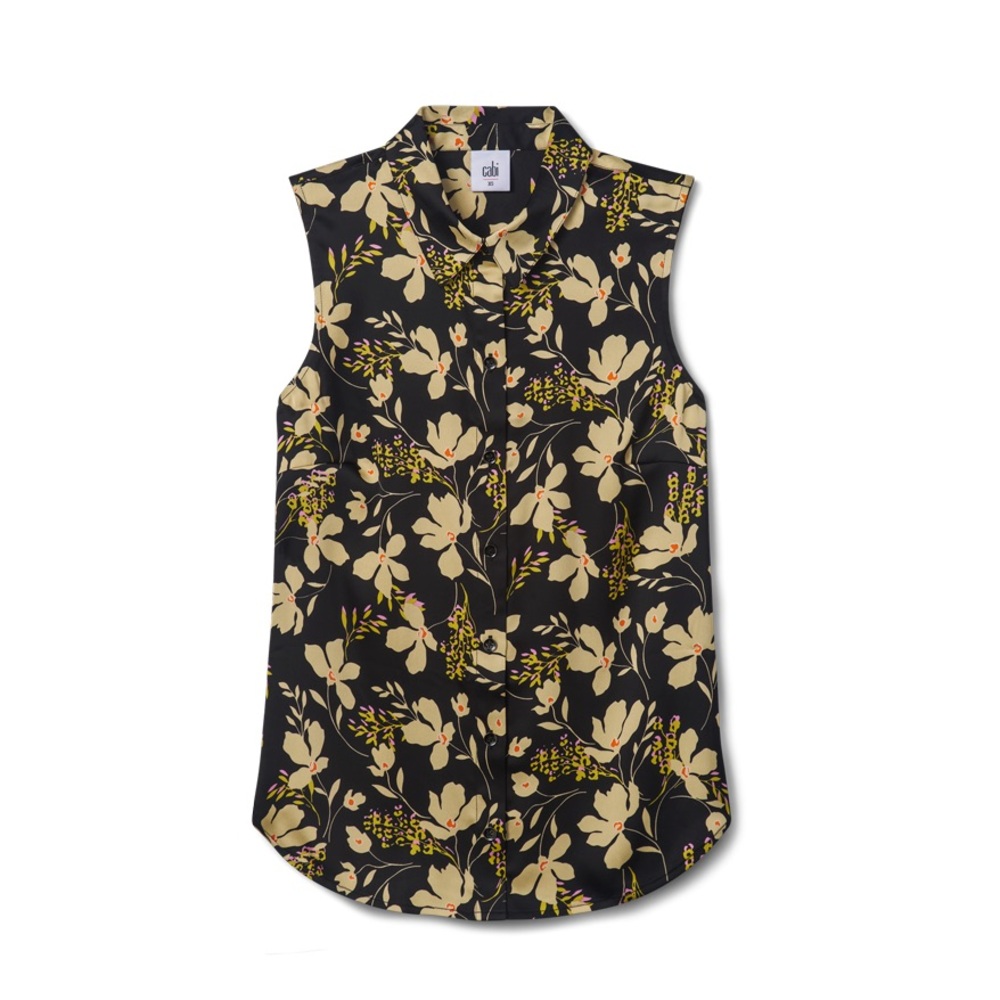 cabi Set Up Top